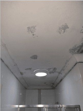 Bathroom ceiling mould before professional removal — London