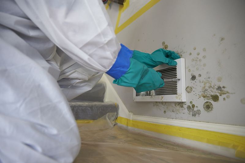 Professional technician treating black mould on a London property wall with PPE