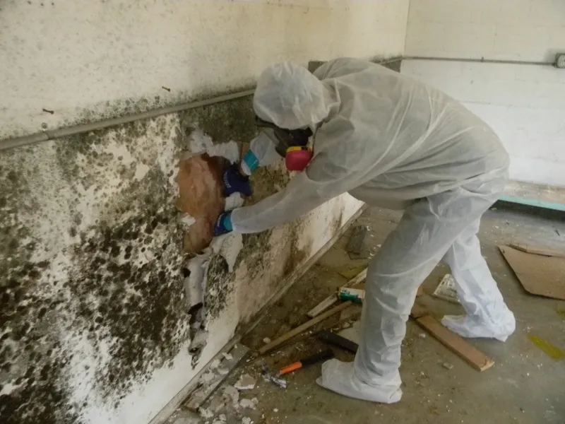 Commercial mould remediation in a London office — professional treatment by ZeroMould