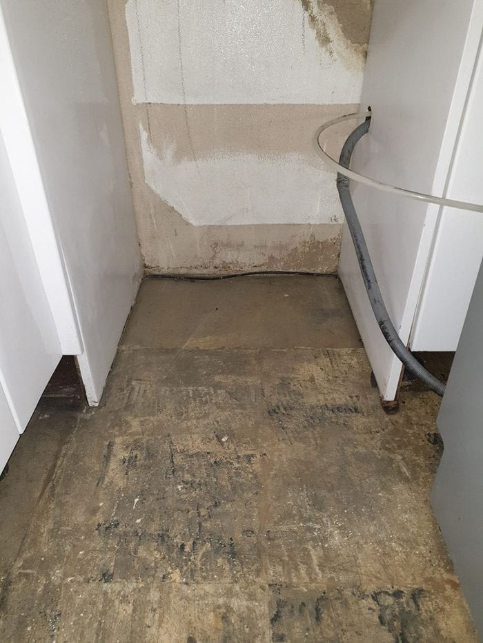 Restaurant kitchen after professional mould removal and treatment — Camden London