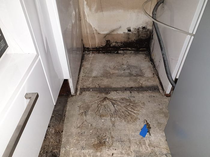 Kitchen mould caused by hidden plumbing leak inside the wall cavity in a Camden property
