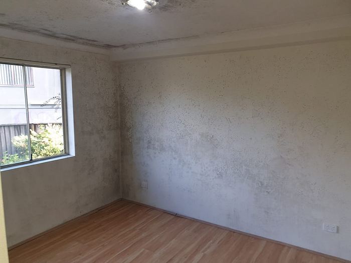 How to identify black mould in London homes